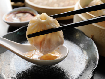 FN_dumplings-dim-sum-garden-opener
