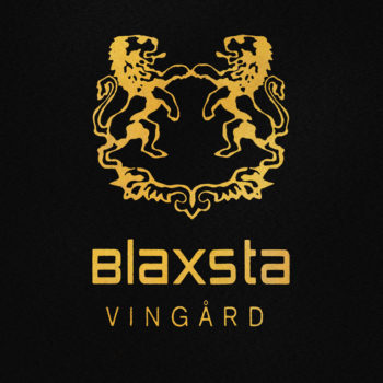 blaxsta_vingard